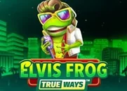 Slot game elvis frog